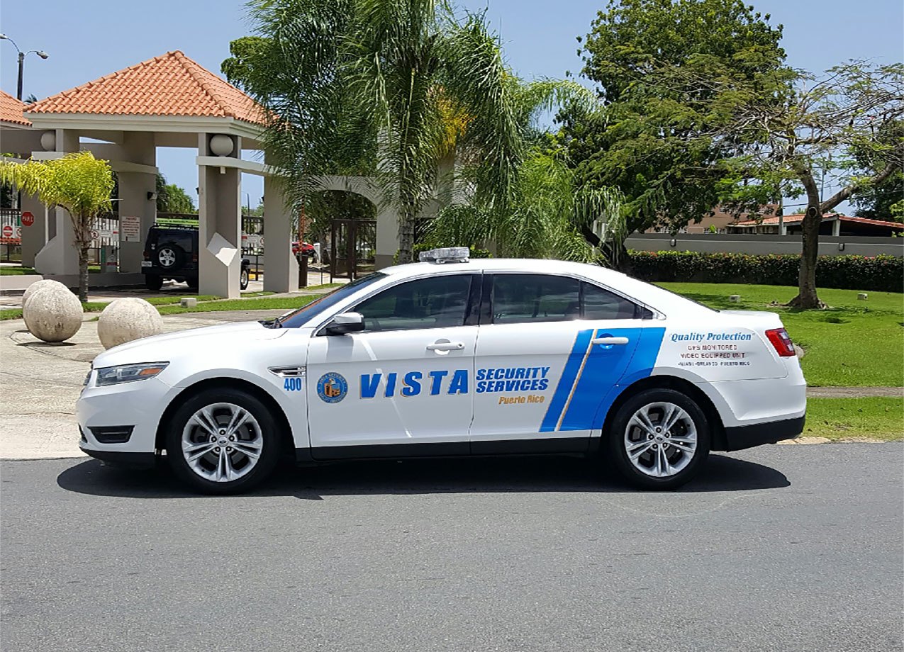 Technology Vista Security Services International