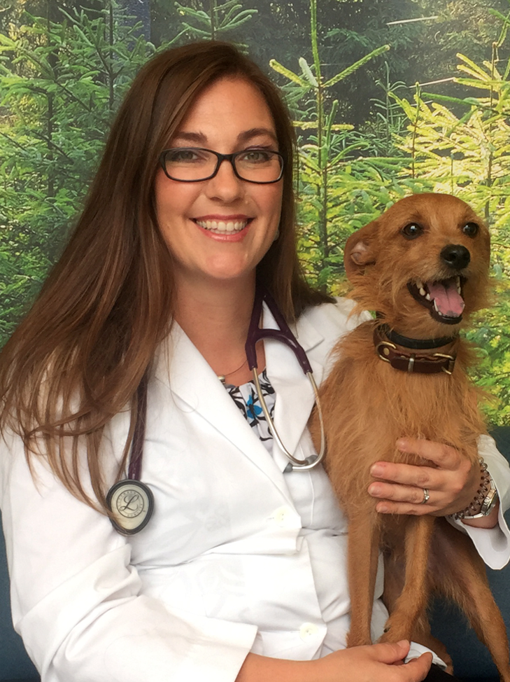 Dr. Carisa Rindal · Vista Animal Hospital
