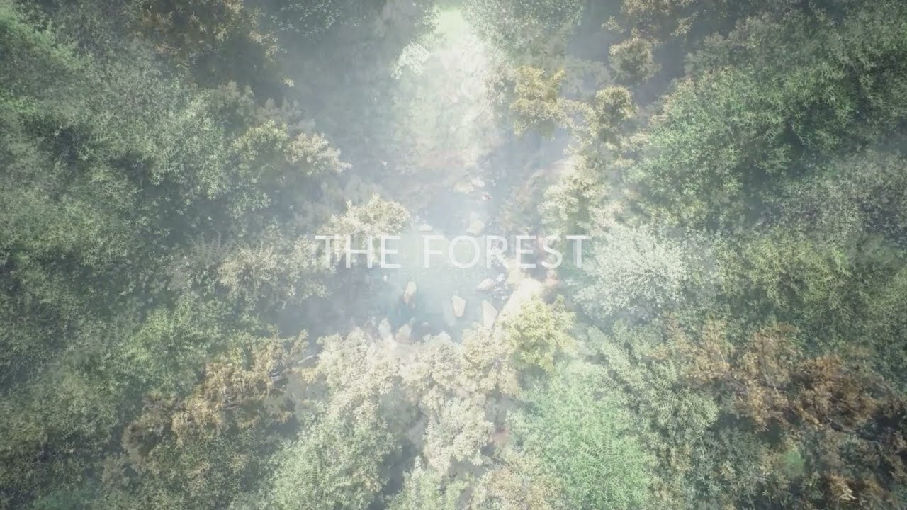 The Forest Move or Not?