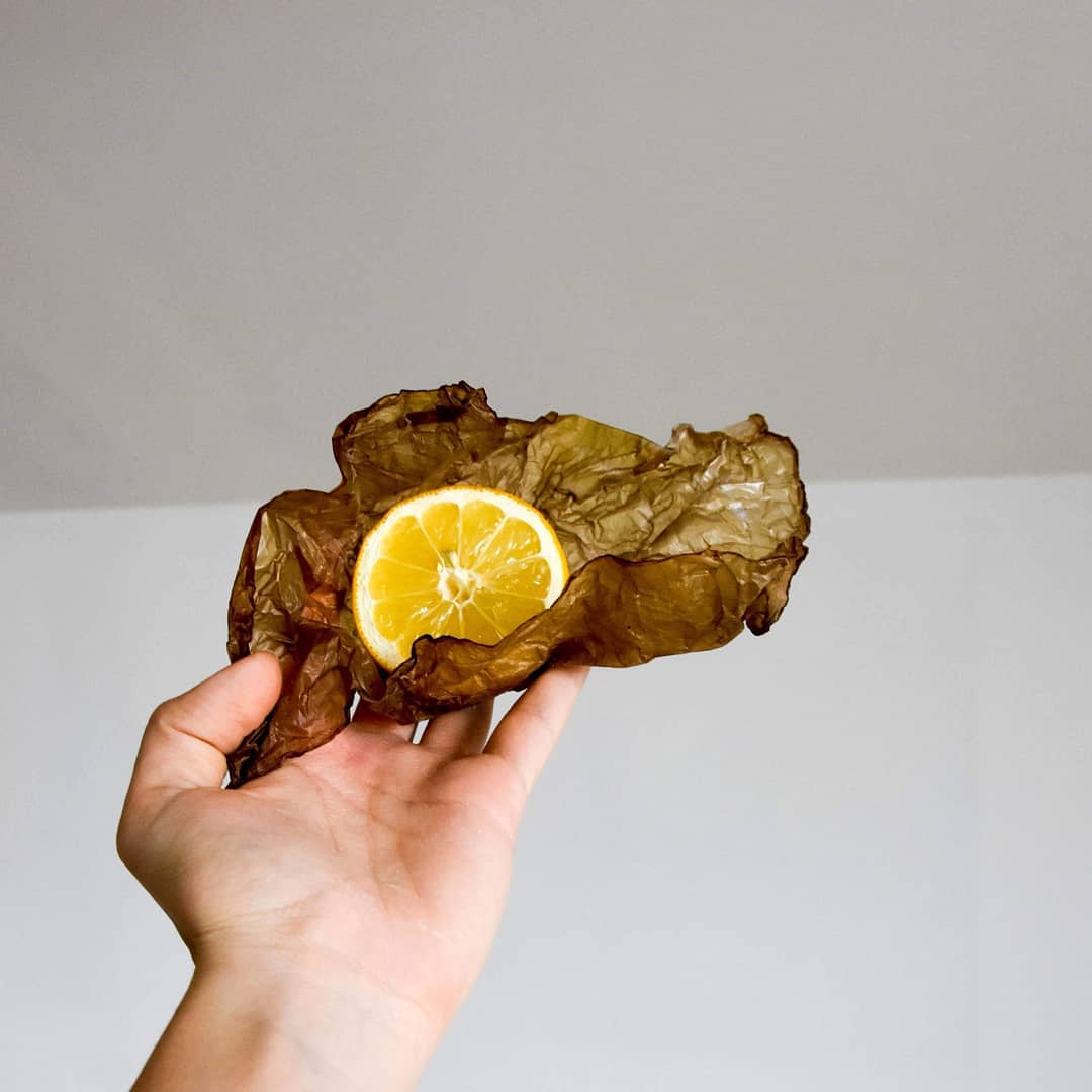 MakeGrowLab Creates A Revolutionary Material To Replace Plastic