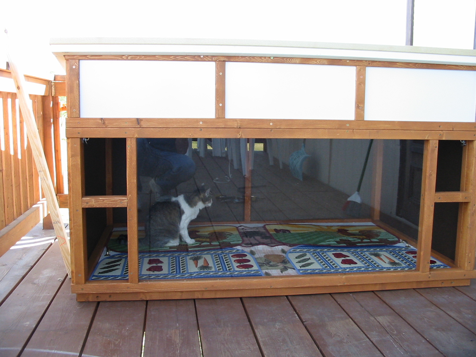 Big Cat House Visual Cats