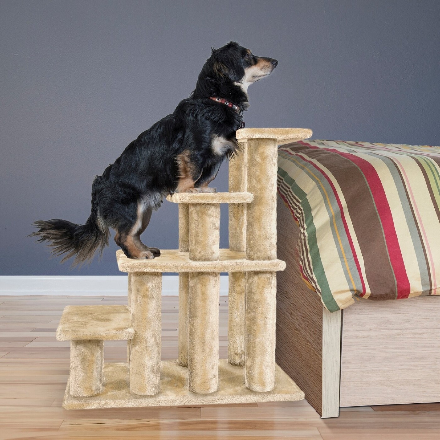 Dog Stairs for Tall Bed VisualHunt