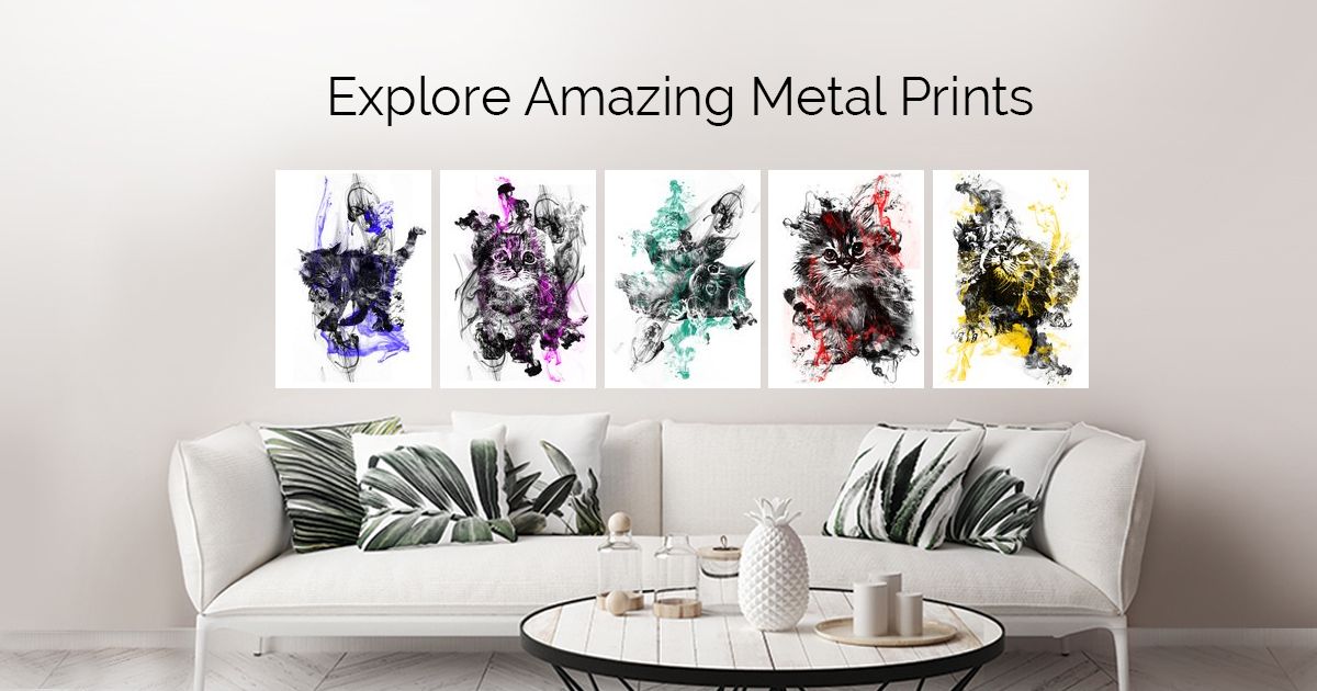 Displate metal posters Collect Your Passions