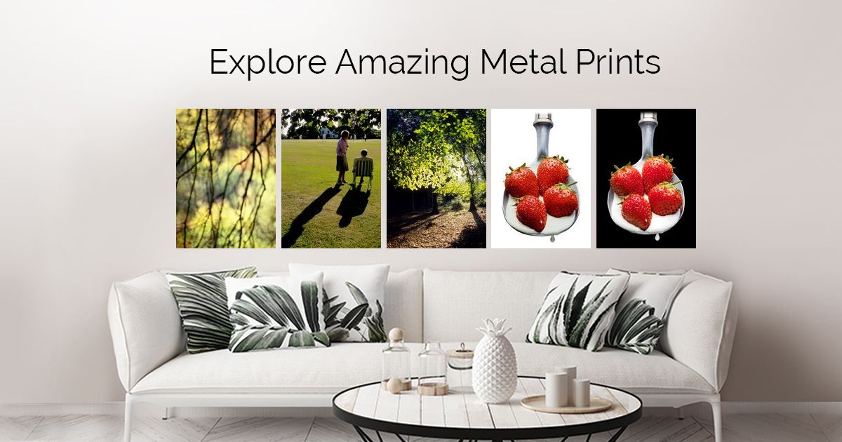 Displate metal posters Collect Your Passions