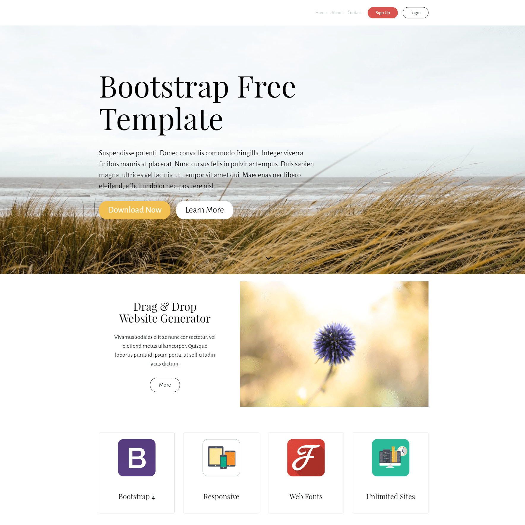 25+ Best Free Bootstrap 4 Templates & Themes (2022) Codeless