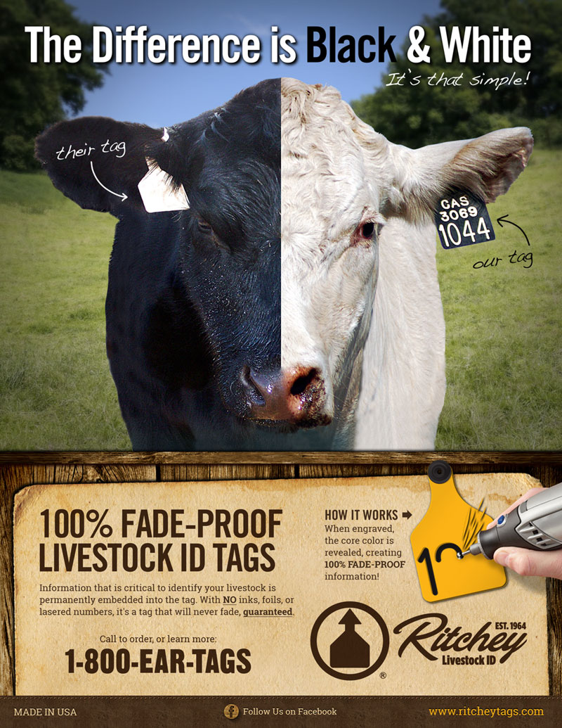 site Redesign, Catalog Design & Print Ads for Ritchey Livestock ID