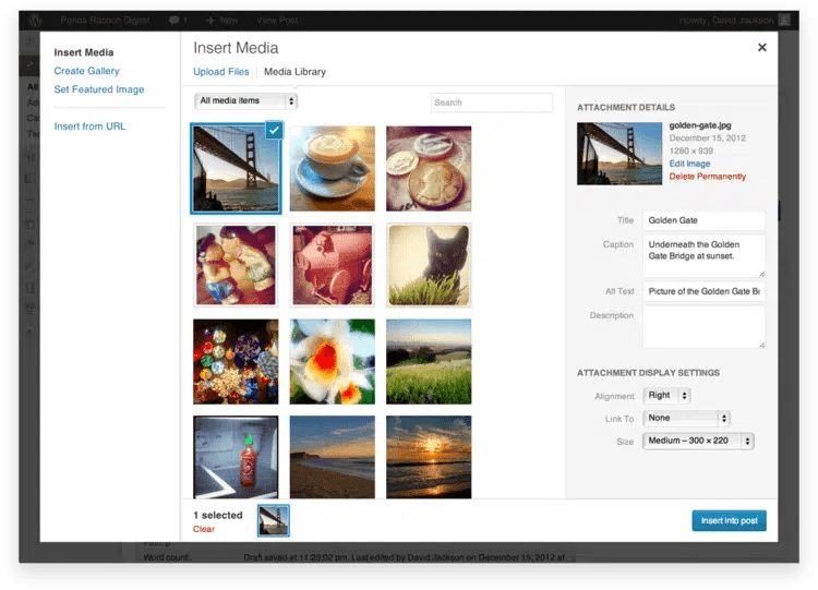Adding WordPress Images To Posts Or Pages Visualmodo Blog
