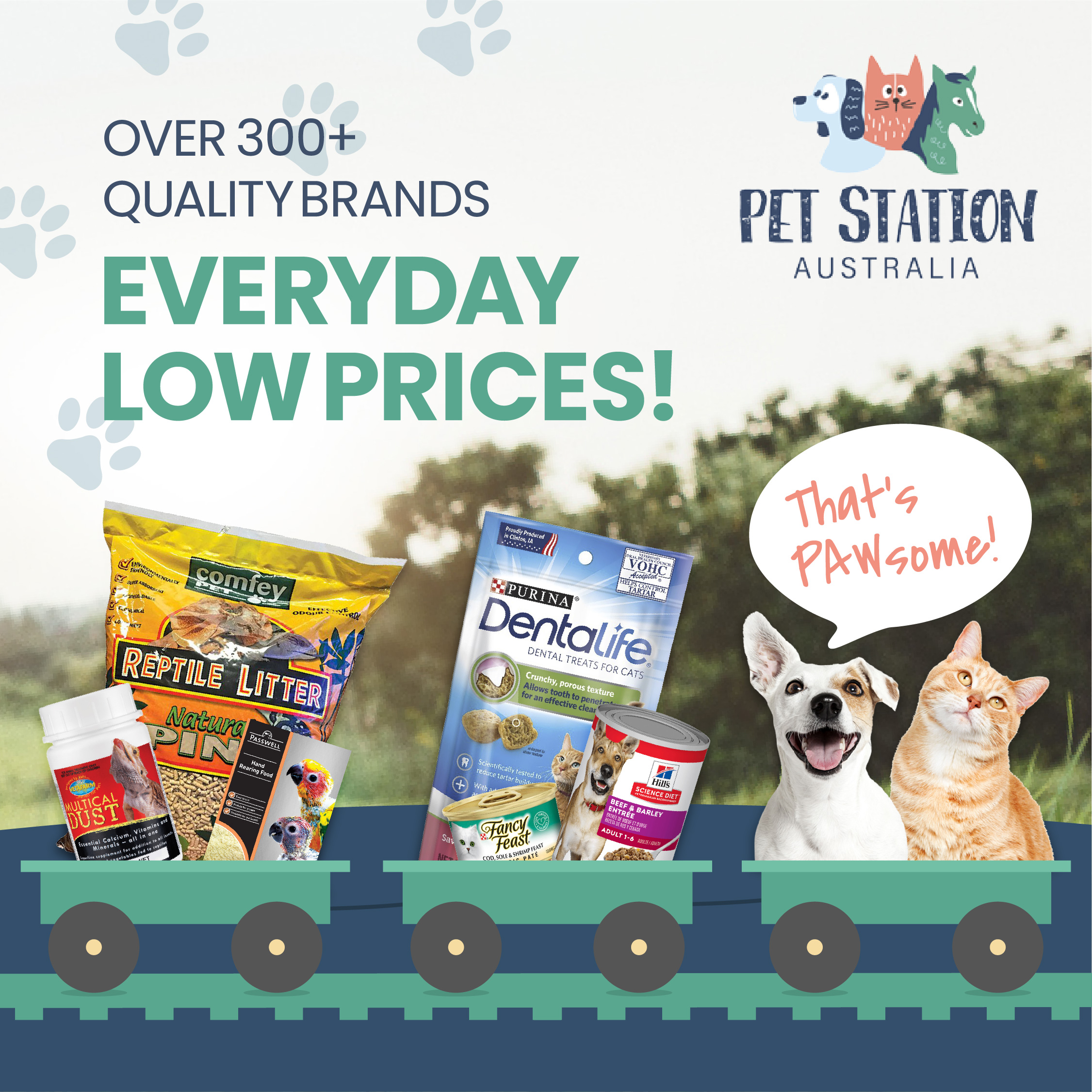 DIGITAL MARKETING DESIGNS