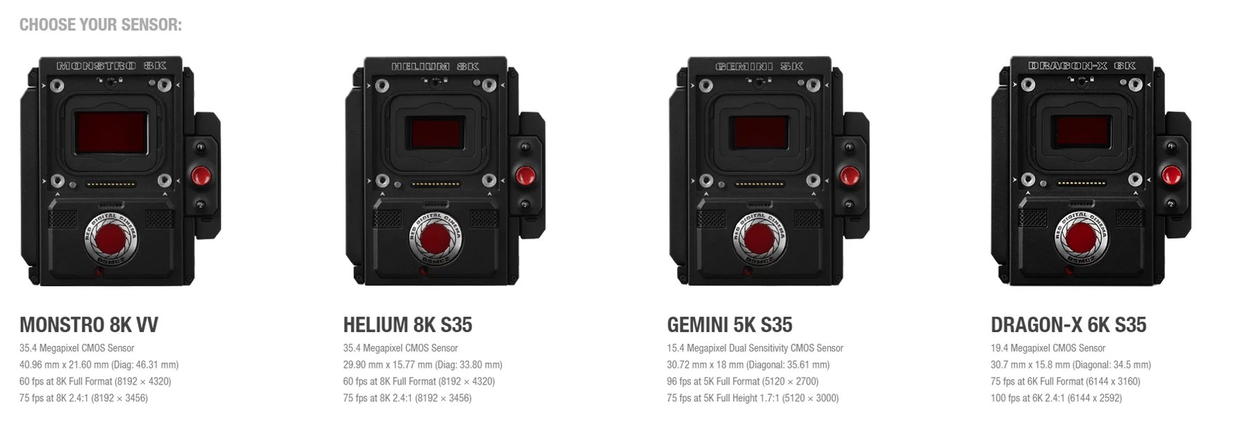 Capturer en 8K un rêve devenu réalité avec Red Visual Sequence