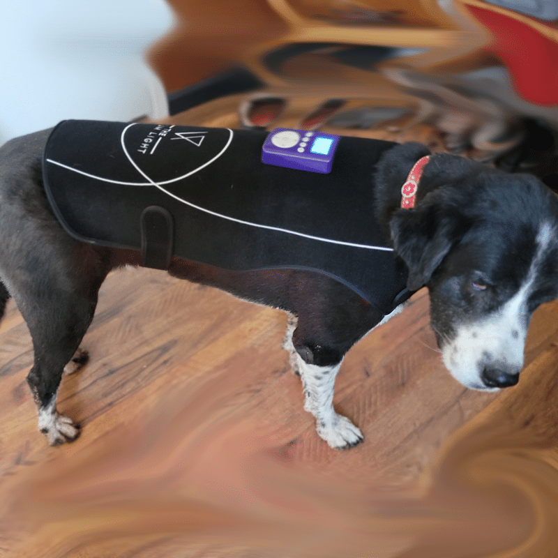 Medium/Large Dog Pad Visum Light