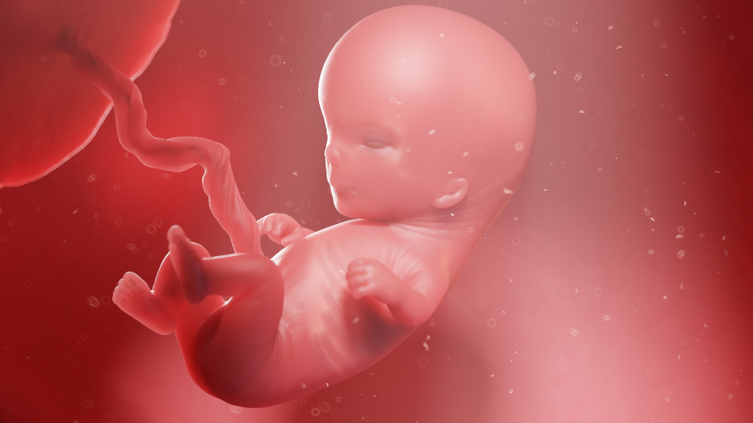 10 Weken zwanger de groeien Vitaal Van Start