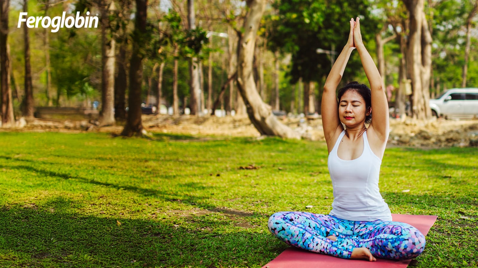 Wellman vs Other Multivitamin Tablets for Men Which One’s Right for