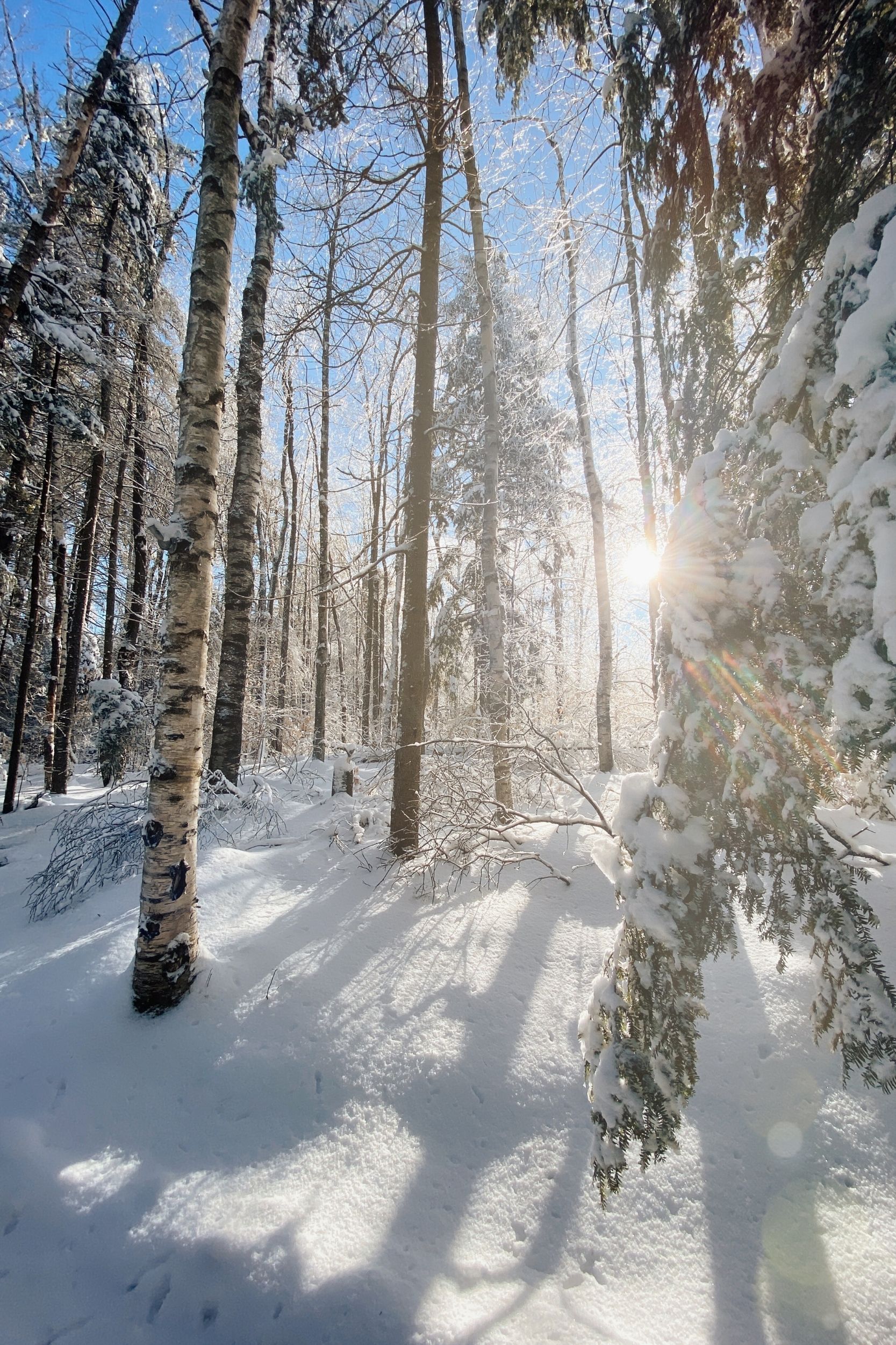 A Long Winter Weekend in Ludlow Vermont Vita Brillanti