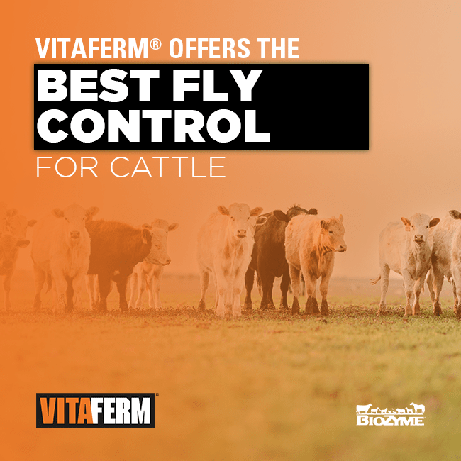 VitaFerm® Offers the Best Fly Control for Cattle VitaFerm