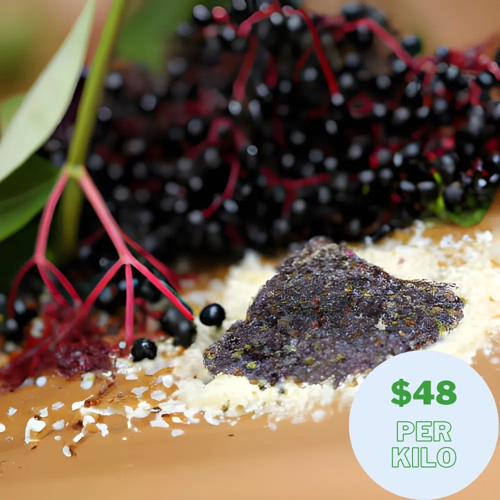 Freeze Dried Elderberry Organic Powder Bulk Supplier Vita Forte Inc.