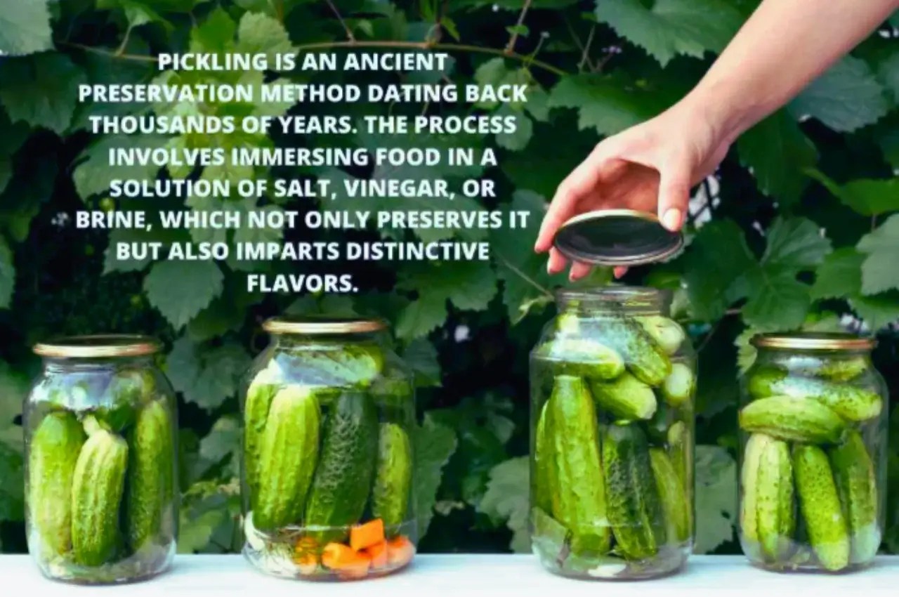 10 Different Pickle Flavors from Around the World (with Recipes) « Vita