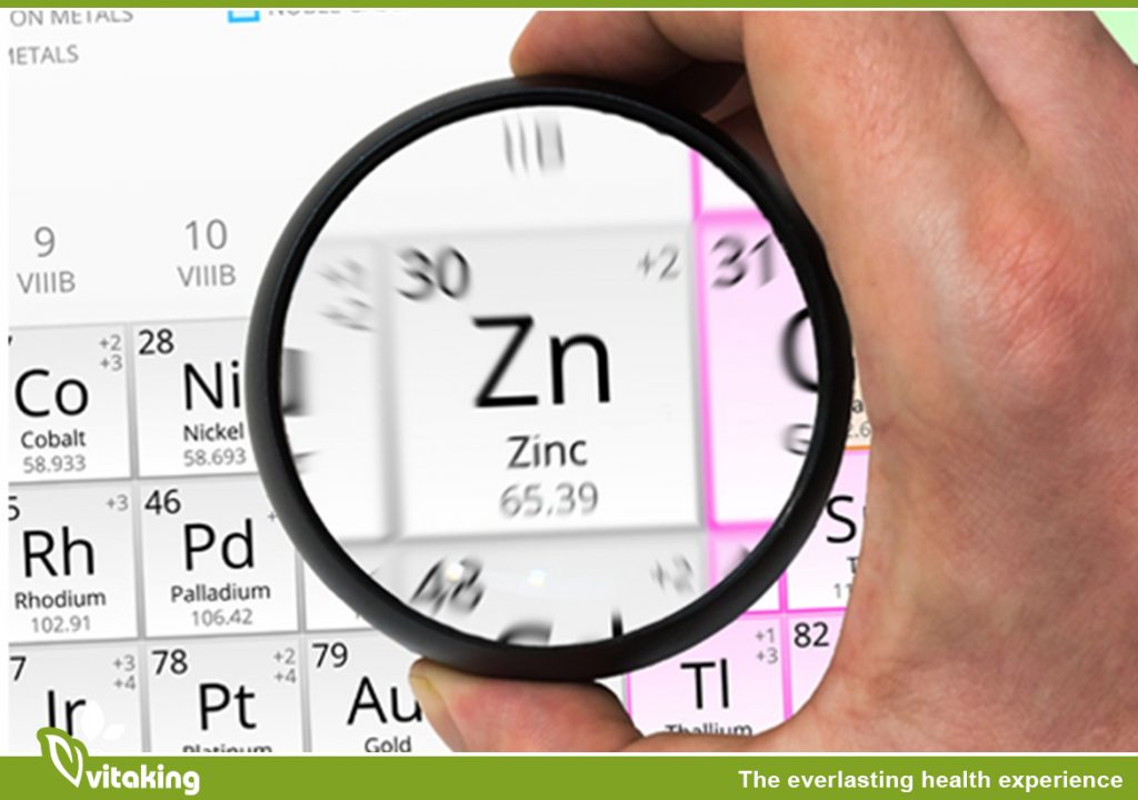 Zinc 8 ways to affects the human body Vitaking Ltd.
