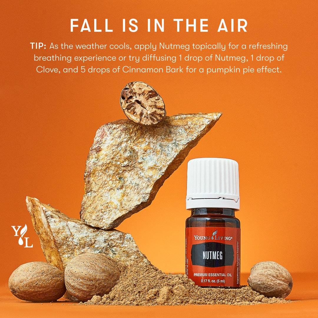 Nutmeg Vital 180 Community