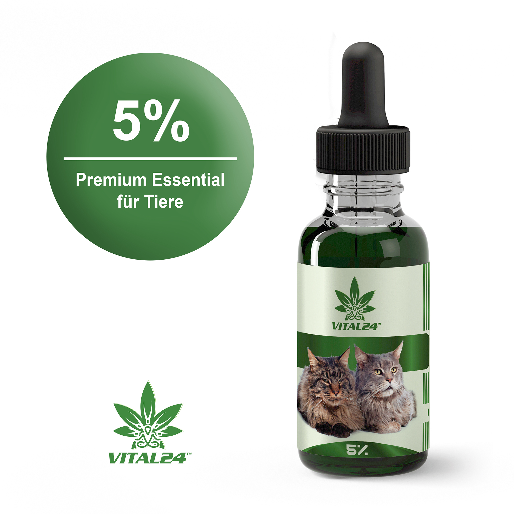 Vital24 Premium CBD Öl 5 für Katzen Hanföl 10ml « Test & Testsieger 2019