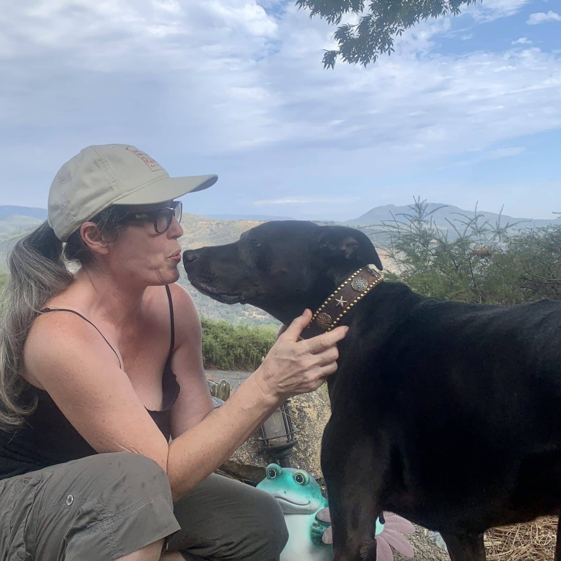 Vital Animal Alpha Homeopathy for Animals Dr. Will Falconer