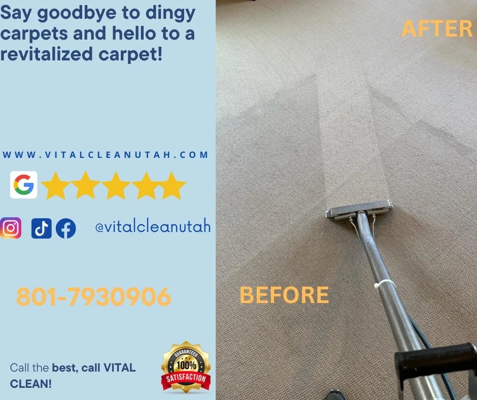 Vital Clean LLC Professional Cleaners in Riverton Riverton Cleaners