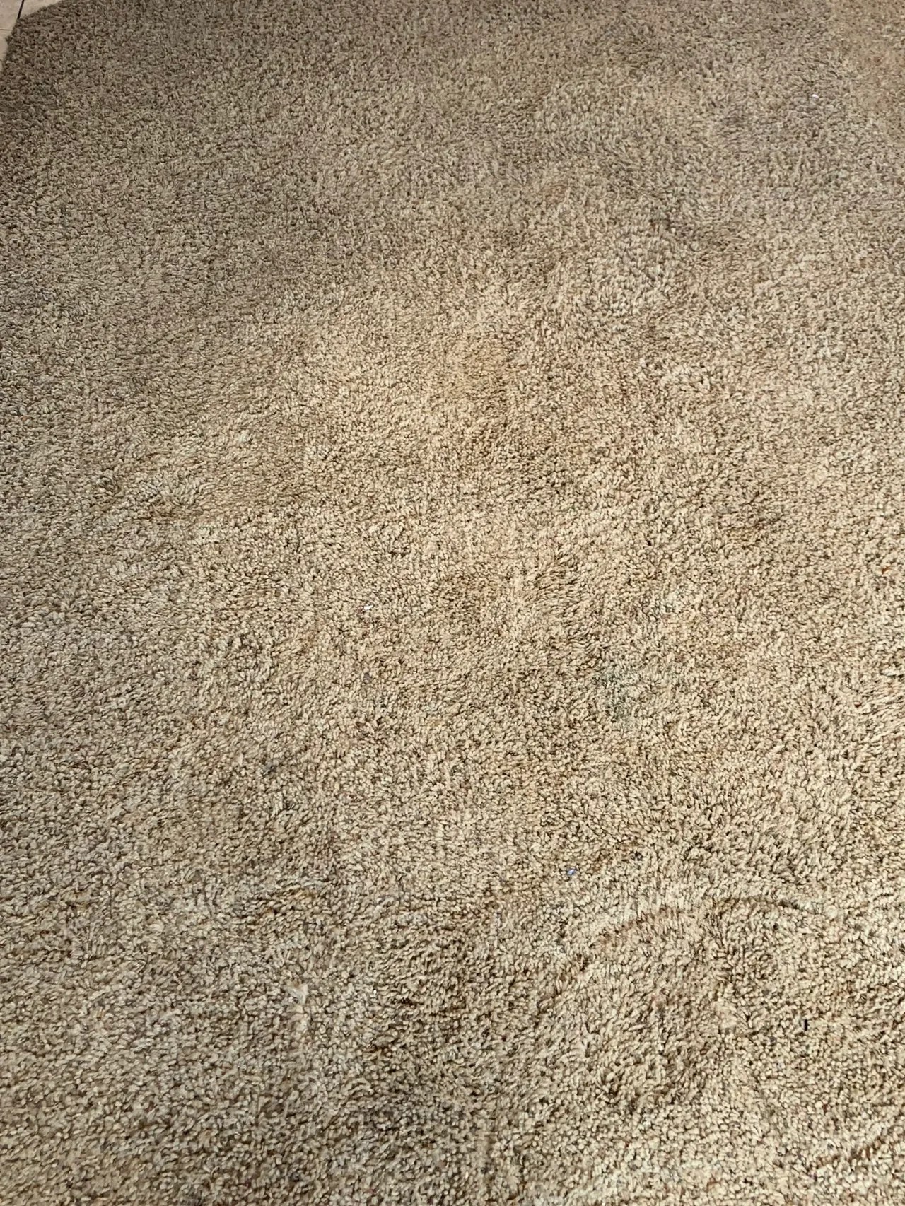 Vital Clean LLC Cleaning Service in Riverton Carpet Cleaning in