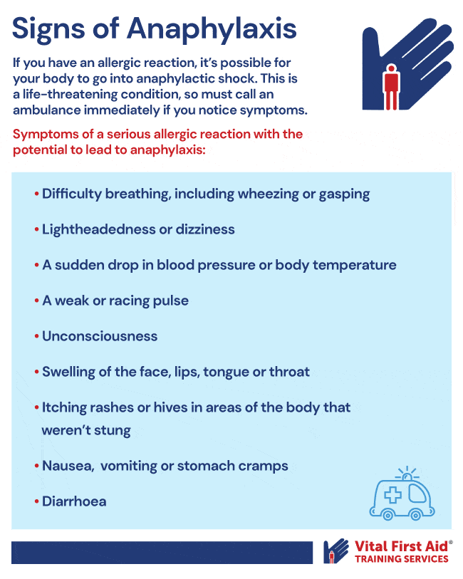 First aid for wasp stings Vital First Aid Training Services