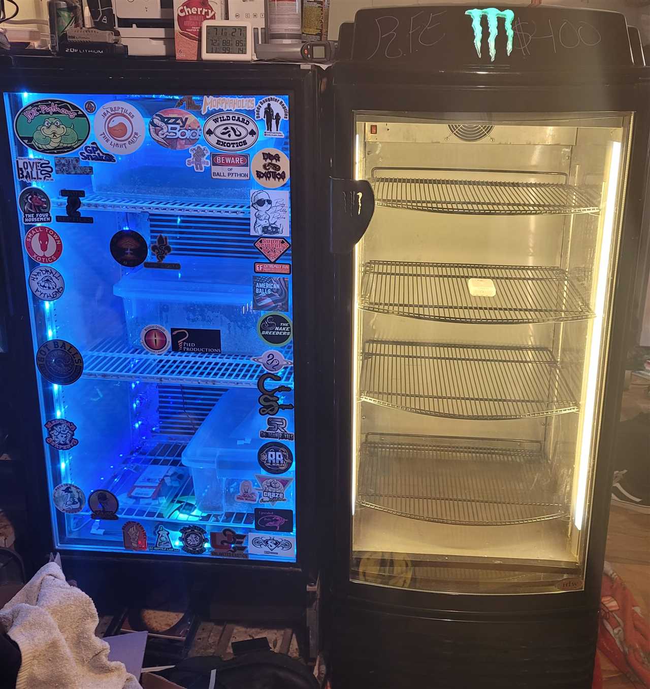 Best Ball Python Egg Incubator for Successful Breeding Vital Frog