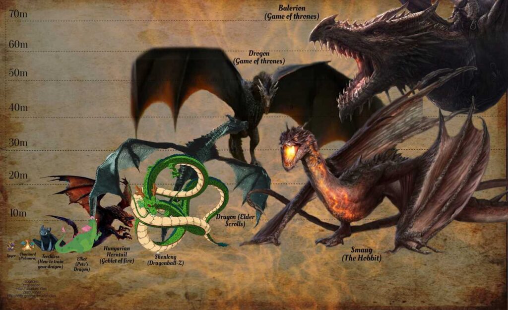 Dragon Sizes: A Comprehensive Chart of Dragon Sizes - Vital Frog