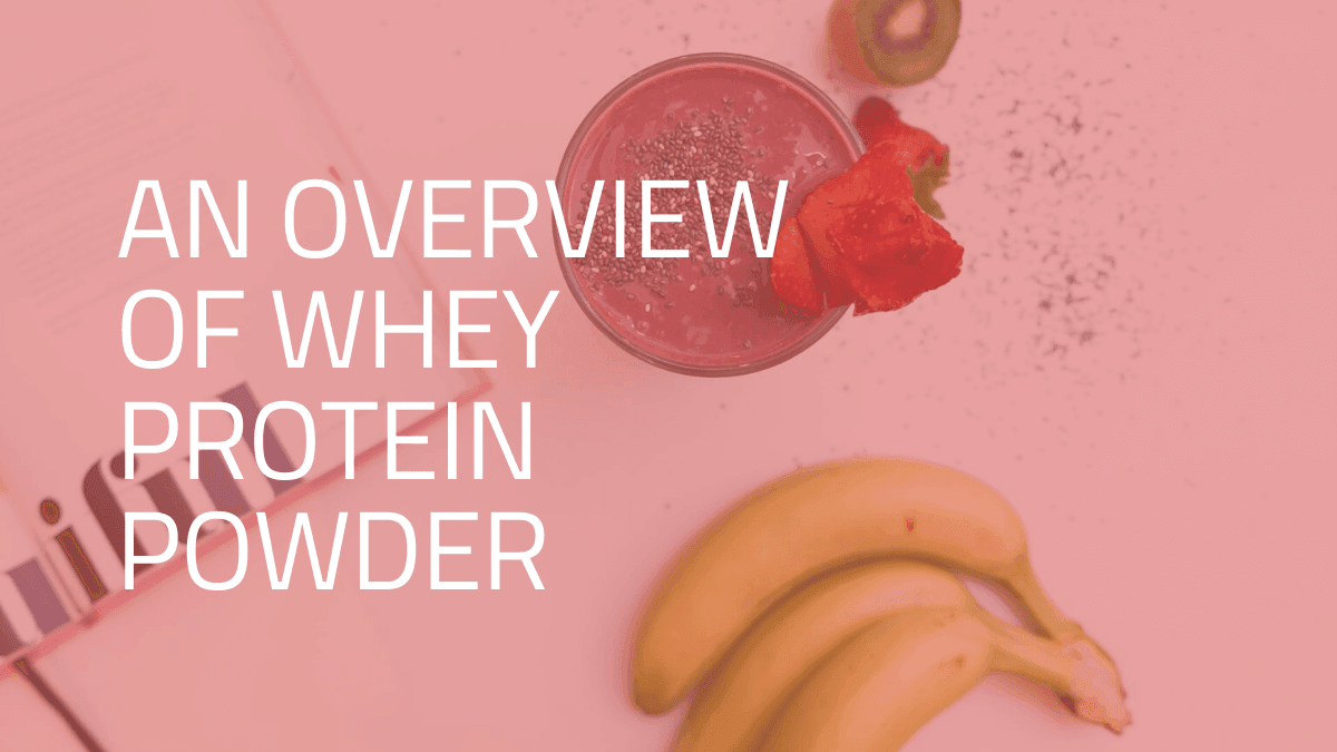 Whey Protein Powder, Whey Protein, Vitalized Body