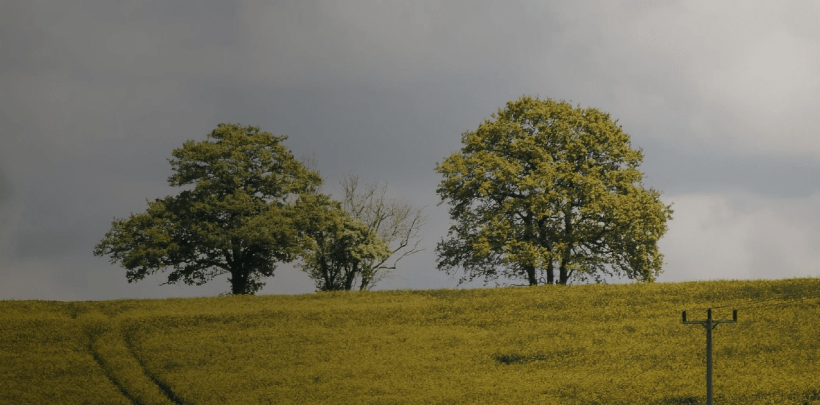 Greenfield Development Vital Signs SF Bay Area