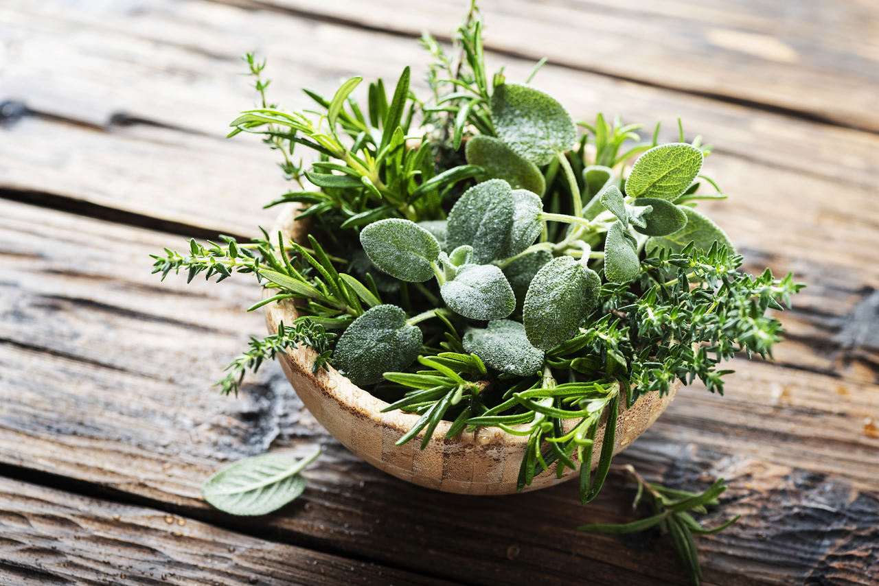 Como congelar ervas e temperos salsa, coentro, hortelã, manjericão...