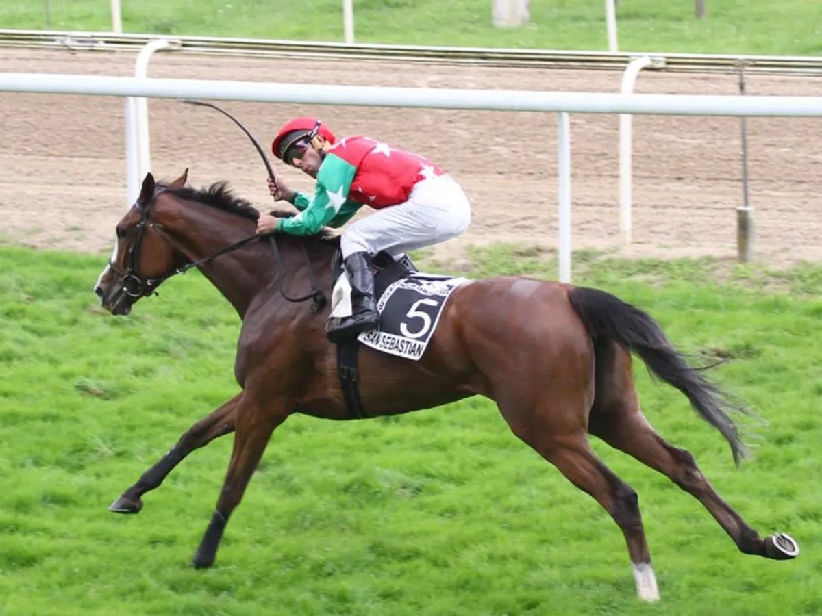 How to Improve Horse Speed? » Vitofarma