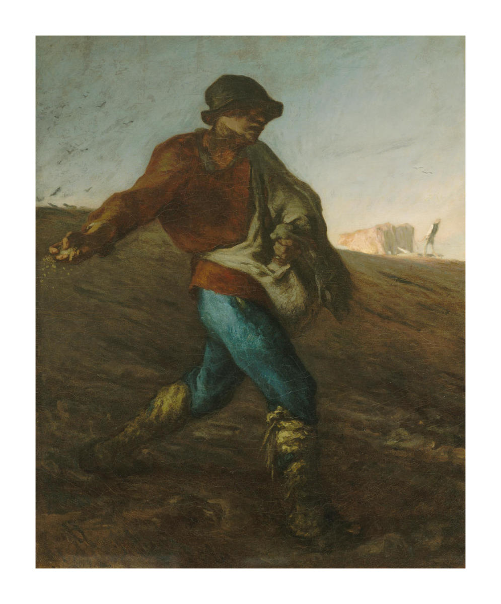The Sower Millet
