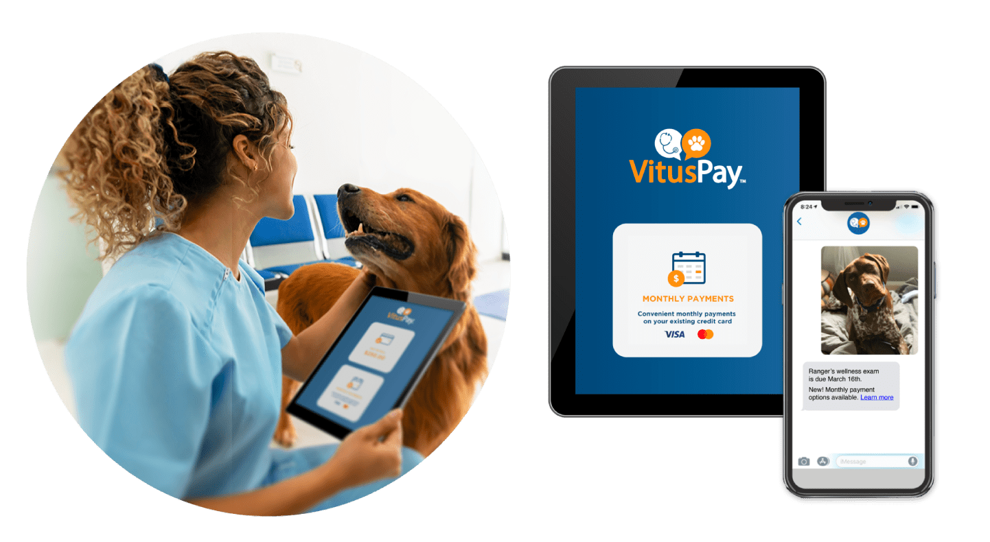 Veterinary Practice Management Software VitusVet