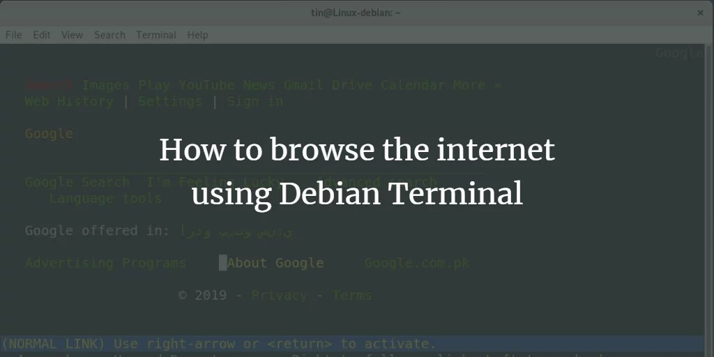 How to browse the using Debian Terminal VITUX