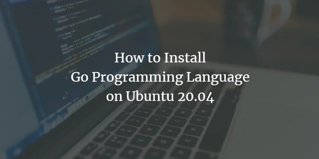 How to Install Go Programming Language on Ubuntu 20.04 VITUX