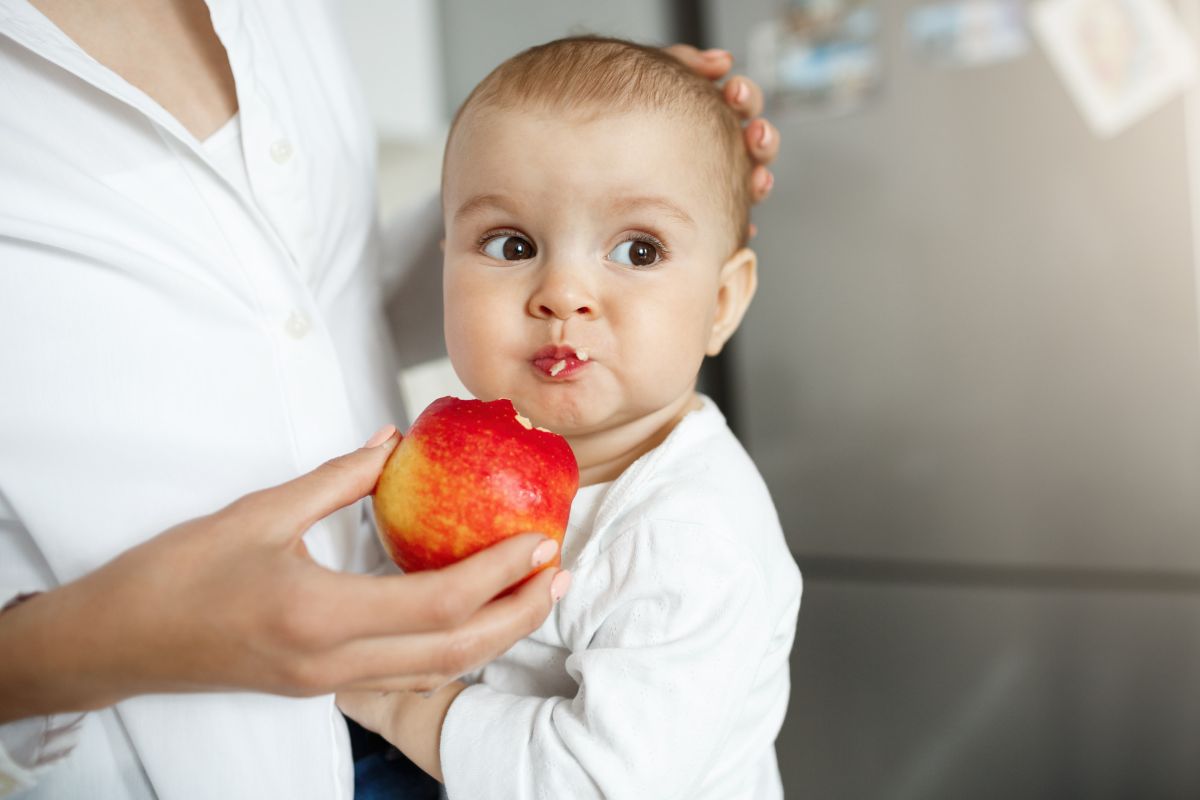 Apple Baby Food for Healthy Development Apple Delight