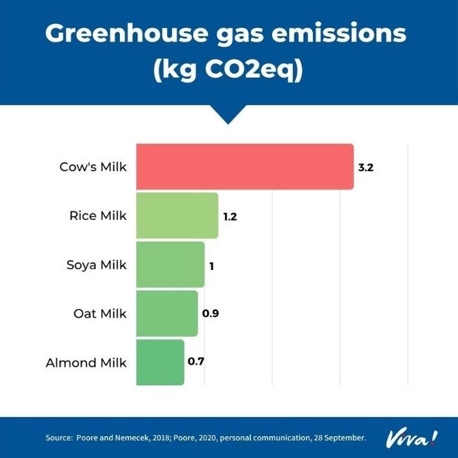 The environmental impact of cows milk vs plant milks for social media
