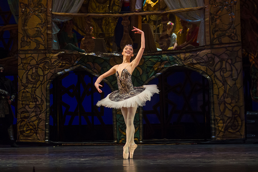 The Progression Of Ballet Movements VIVA Ballet Academy