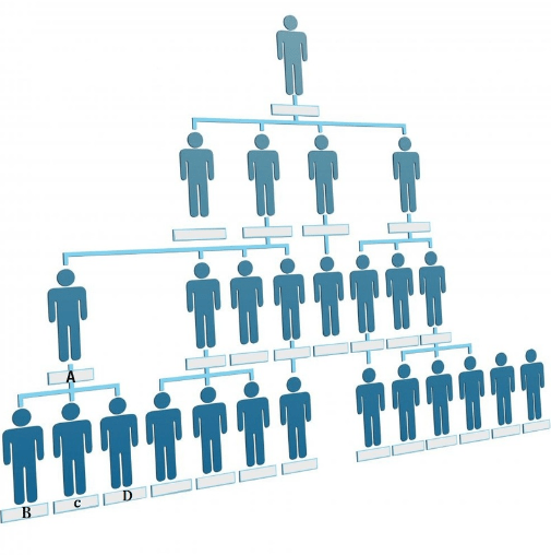 10 Major Difference Between Horizontal And Vertical Communication (With