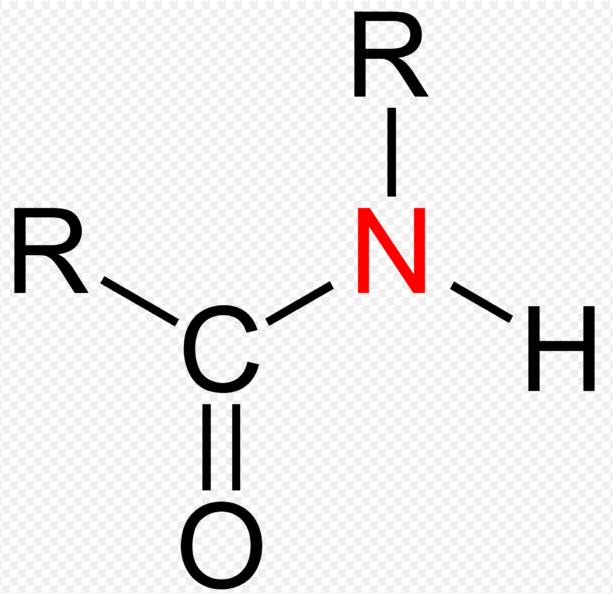 Amine Vs Amide What Is The Difference? Viva Differences