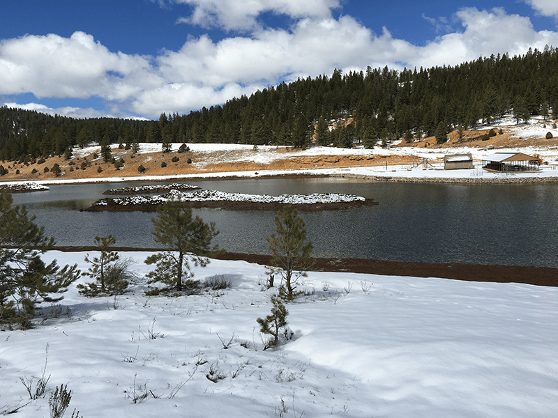 Contact Us Swains Creek Pines