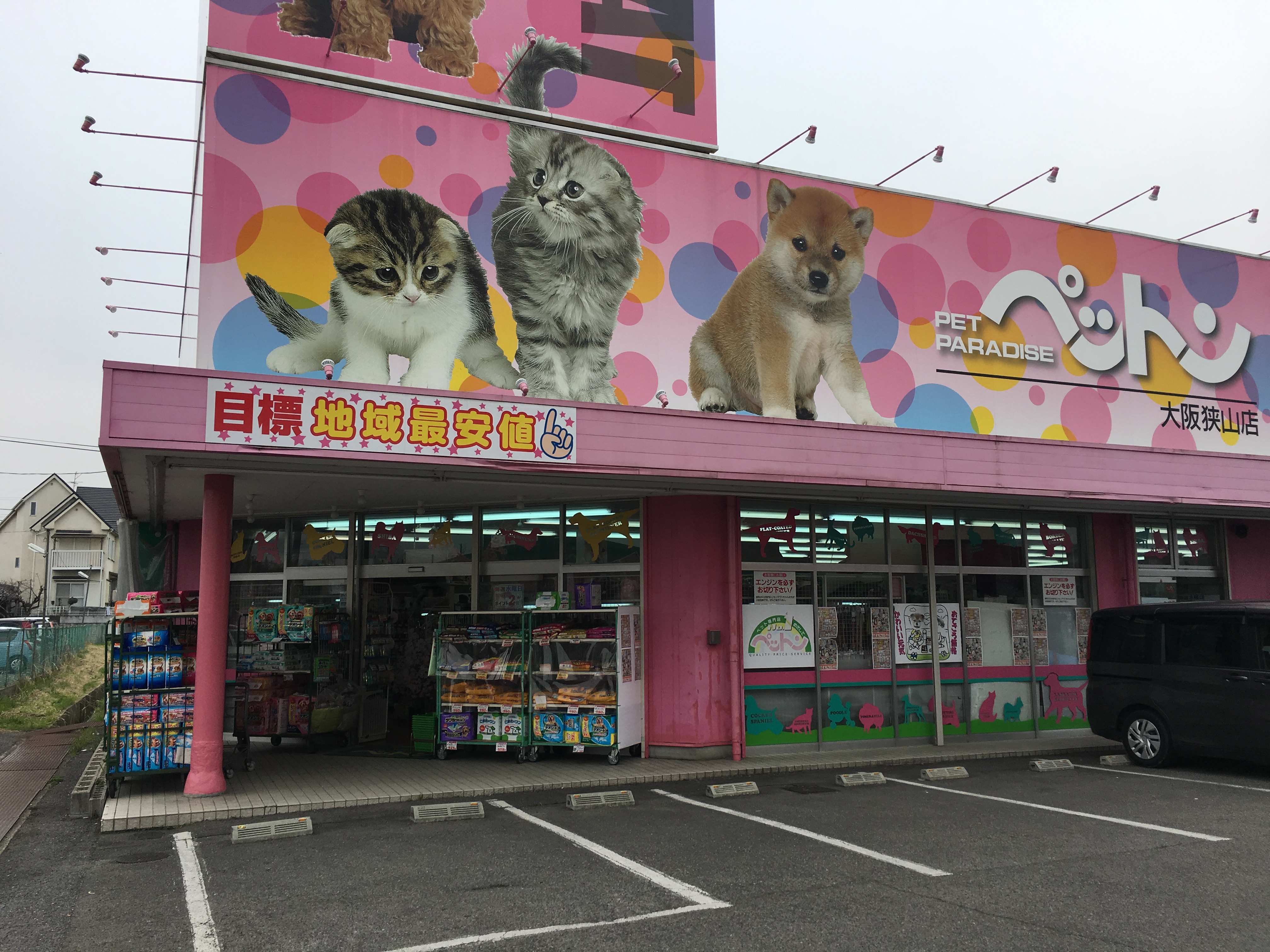 デンタルケア始まる ペットン狭山店でシグワン歯みがき ビバテック