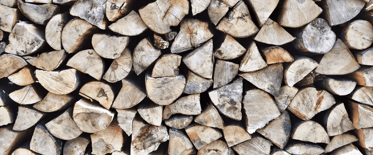 Recycling And Reusing Tree Materials Turning Waste Into Value Viva Trees