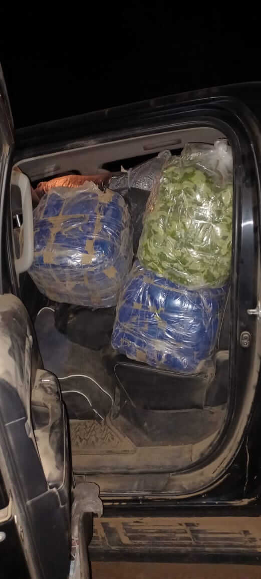 SECUESTRAN MÁS DE 100 KILOS DE HOJAS DE COCA Y 100 CARTONES DE