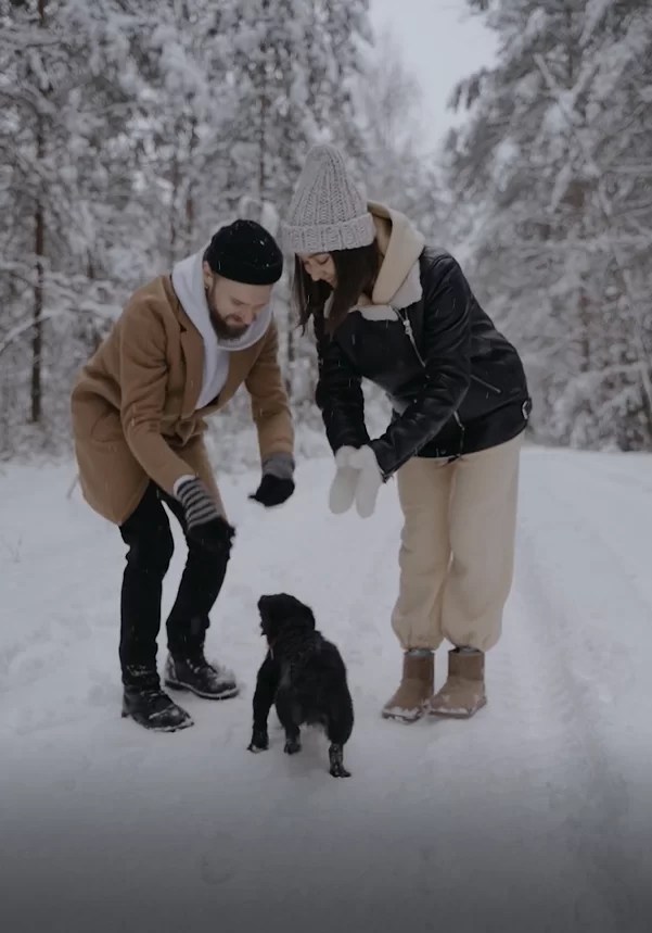 3 Spots Vancouver Pet Friendly Para Este Invierno 2022 Dale La Vuelta