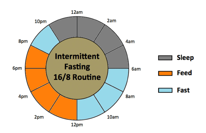 Intermittent Fasting Vive Calgary Naturopathic Doctor