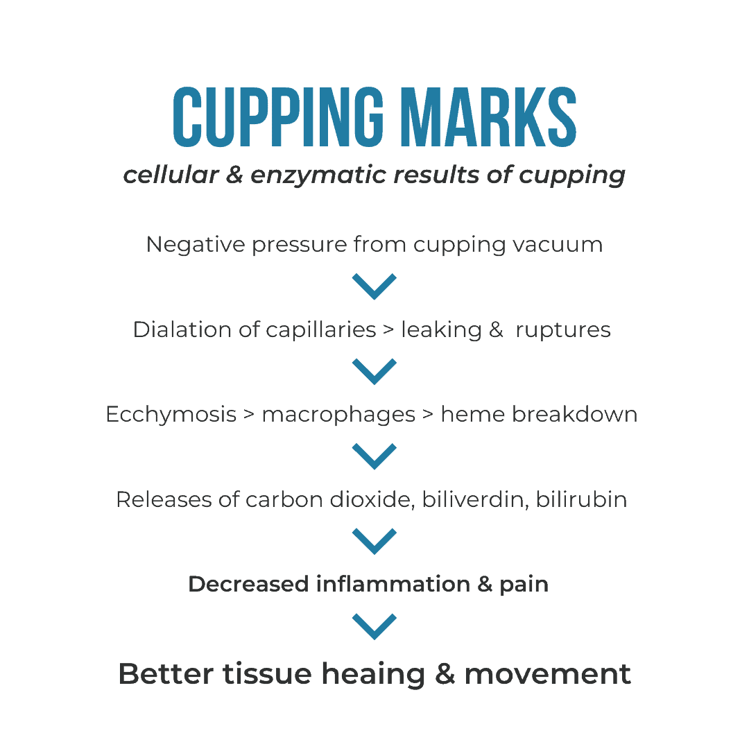 Cupping Marks What Are They Vive
