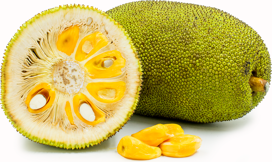 Jack Fruit